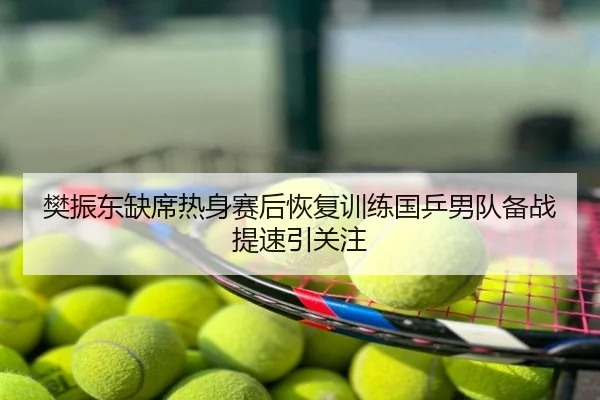 樊振东缺席热身赛后恢复训练国乒男队备战提速引关注
