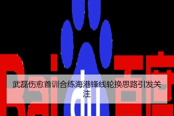 武磊伤愈首训合练海港锋线轮换思路引发关注